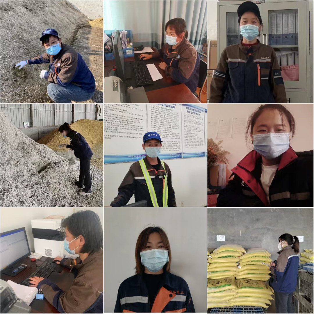 花花牛丨點點微光匯星河——養(yǎng)殖事業(yè)部抗疫保生產側記