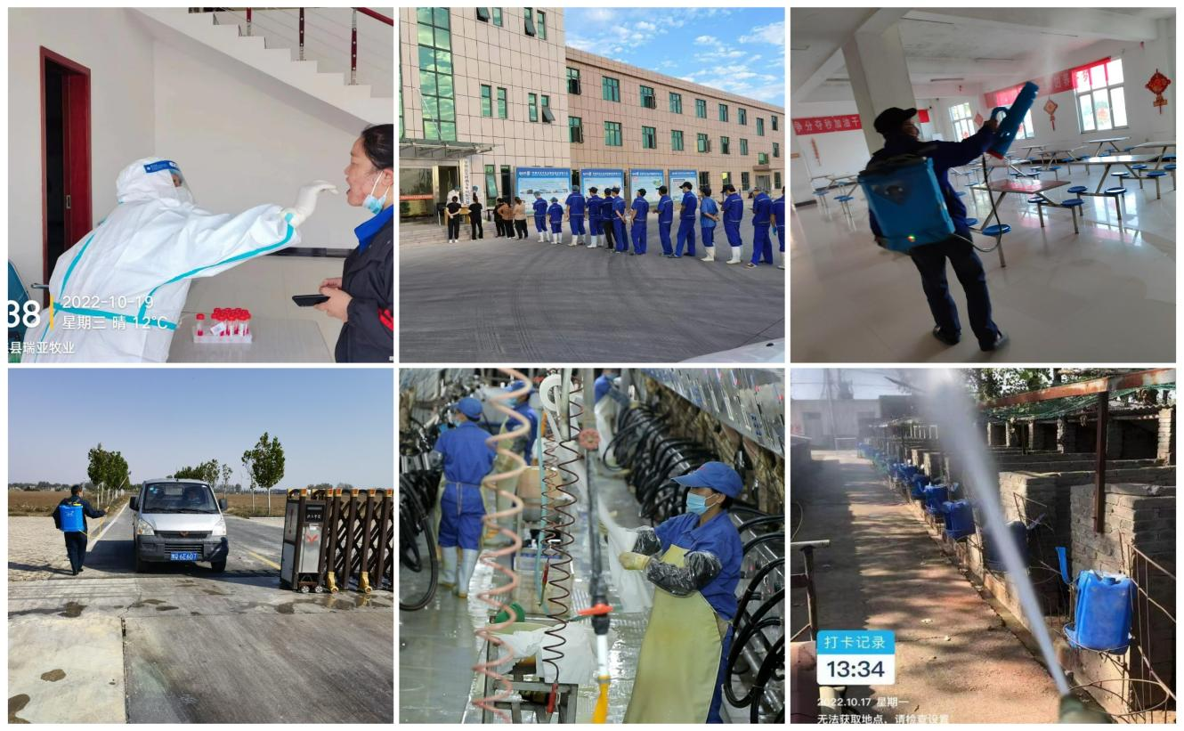 抗疫情、保供應、顯擔當——花花牛在行動?。。? style=