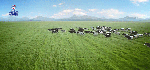 榮譽 | 2019年度河南省美麗牧場名單新鮮出爐 花花牛乳業集團旗下六個牧場榜上有名