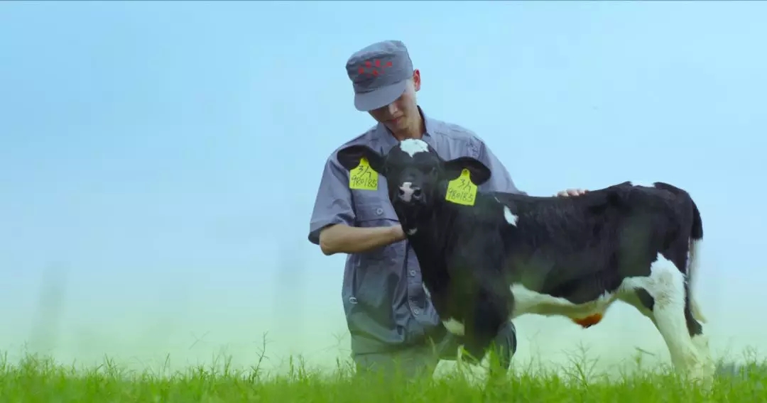 喜報 | 國家市場監(jiān)管總局抽檢，花花牛等112家企業(yè)乳品抽檢全部合格