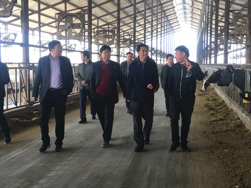 封丘縣縣長王獻臣一行蒞臨 花花牛集團養殖、乳品事業部參觀調研