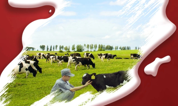 喜報(bào)！花花牛董事長(zhǎng)關(guān)曉彥再獲”優(yōu) 秀企業(yè)家”稱號(hào)